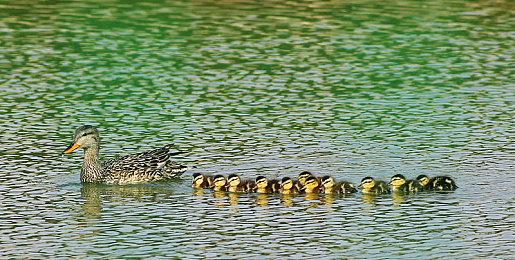 《行尸走肉》系列全15部游戏打包促销 其中包括VR版